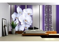 FOR WALL fototapetai 1283VE XL