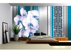FOR WALL fototapetai 1284VE XL