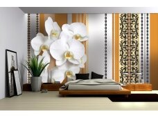 FOR WALL fototapetai 1285VE XL