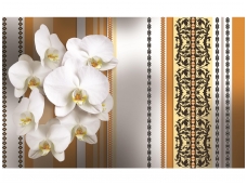 FOR WALL fototapetai 1285VE XXL