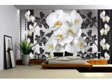 FOR WALL fototapetai 1286VE XL
