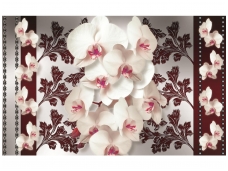 FOR WALL fototapetai 1287VE XXL