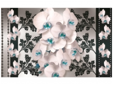 FOR WALL fototapetai 1288VE XXL