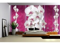 FOR WALL fototapetai 1291VE XL