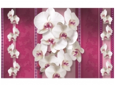 FOR WALL fototapetai 1291VE XXL