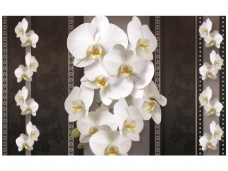 FOR WALL fototapetai 1292VE L