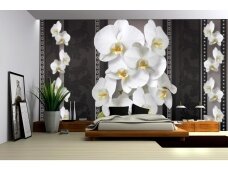 FOR WALL fototapetai 1292VE XL