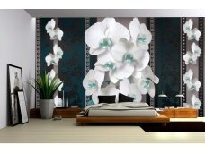 FOR WALL fototapetai 1293VE XL
