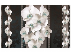 FOR WALL fototapetai 1293VE XXL