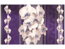 FOR WALL fototapetai 1294VE XXXL