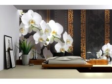 FOR WALL fototapetai 1295VE XL