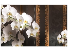FOR WALL fototapetai 1295VE XXXL