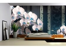 FOR WALL fototapetai 1296VE XL