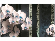 FOR WALL fototapetai 1296VE XXXL