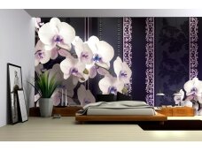 FOR WALL fototapetai 1297VE XL