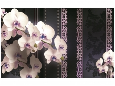 FOR WALL fototapetai 1297VE XXXL