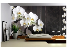 FOR WALL fototapetai 1298VE XXXL