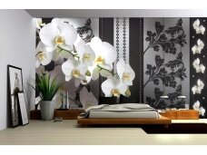 FOR WALL fototapetai 1299VE L FOR WALL fototapetai 1299VE L