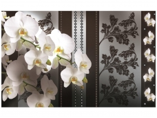 FOR WALL fototapetai 1299VE XXXL
