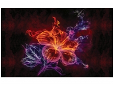 FOR WALL fototapetai 1308VE M