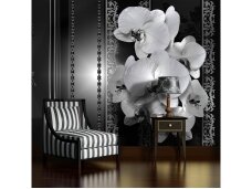 FOR WALL fototapetai 1327VE XL FOR WALL fototapetai 1327VE XL