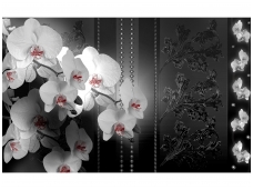 FOR WALL fototapetai 1328VE M