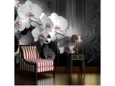 FOR WALL fototapetai 1328VE XL FOR WALL fototapetai 1328VE XL