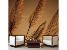 FOR WALL fototapetai 1331VE XL FOR WALL fototapetai 1331VE XL