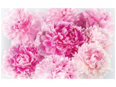 FOR WALL fototapetai 1342VE M