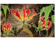 FOR WALL fototapetai 1369VE M