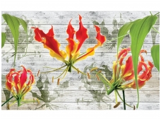FOR WALL fototapetai 1373VE XXXL