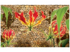 FOR WALL fototapetai 1388VE M