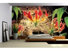 FOR WALL fototapetai 1393VE L FOR WALL fototapetai 1393VE L