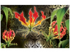 FOR WALL fototapetai 1394VE M