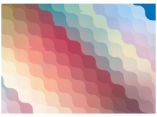 FOR WALL fototapetai 1417VE XXXL