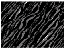 FOR WALL fototapetai 1428VE XXXL