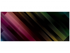 FOR WALL fototapetai 1436VEP