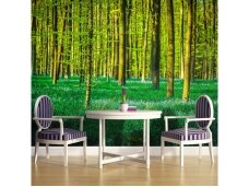 FOR WALL fototapetai 1438VE XXXL