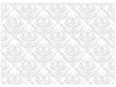 FOR WALL fototapetai 1455VE P4