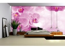 FOR WALL fototapetai 0149VE XL