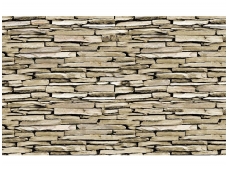 FOR WALL fototapetai 1538VE P8