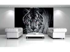 FOR WALL fototapetai 0153VE XL