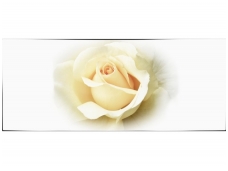 FOR WALL fototapetai 1551VEP