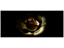 FOR WALL fototapetai 1552VEP