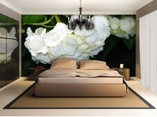 FOR WALL fototapetai 1564VE XXL