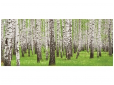 FOR WALL fototapetai 0157VEP