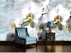 FOR WALL fototapetai 1667VE L