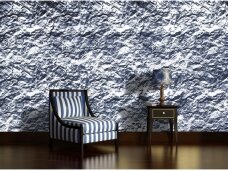 FOR WALL fototapetai 1795VE XXL
