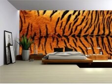 FOR WALL fototapetai 0181VE XL