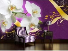 FOR WALL fototapetai 1823VE XXL FOR WALL fototapetai 1823VE XXL